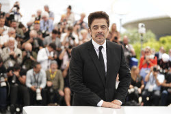 France Cannes 2025 The Phoenician Scheme Photo Call