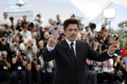 The Phoenician Scheme - Photocall - 78th Cannes Film Festival