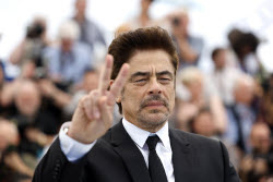 The Phoenician Scheme - Photocall - 78th Cannes Film Festival