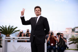 The Phoenician Scheme - Photocall - 78th Cannes Film Festival