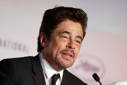 The Phoenician Scheme - Press Conference - 78th Cannes Film Festival