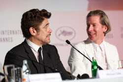 The Phoenician Scheme - Press Conference - 78th Cannes Film Festival
