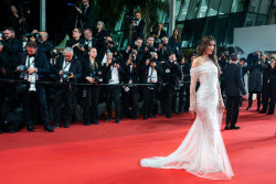 78eme Festival International Du Film De Cannes. MontÃƒÂ©E Des Marches Du Film Alpha. CARLIER