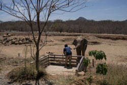 Mexico Violence Animal Refuge Photo Gallery