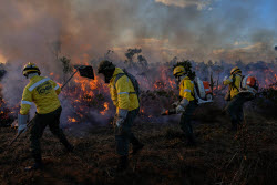Brazil Wildfire