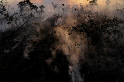 Brazil Wildfire