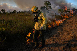 Brazil Wildfire