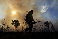 Brazil Wildfire