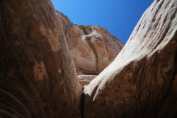 Scenes From Bryce Captiol Reef National Park In Utah