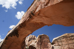 Scenes From Bryce Captiol Reef National Park In Utah