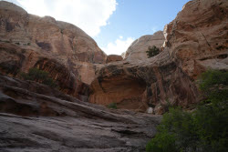 Scenes From Bryce Captiol Reef National Park In Utah
