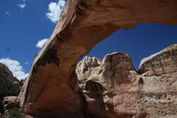 Scenes From Bryce Captiol Reef National Park In Utah