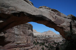 Scenes From Bryce Captiol Reef National Park In Utah