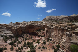 Scenes From Bryce Captiol Reef National Park In Utah
