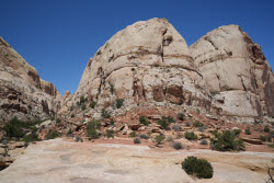 Scenes From Bryce Captiol Reef National Park In Utah