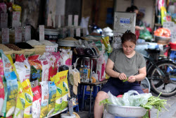 Vietnam to export low-emission rice to Japan