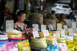 Vietnam to export low-emission rice to Japan