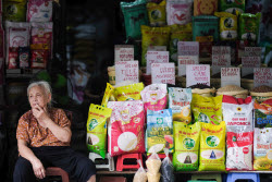 Vietnam to export low-emission rice to Japan