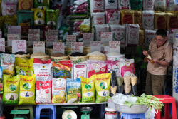 Vietnam to export low-emission rice to Japan