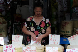 Vietnam to export low-emission rice to Japan
