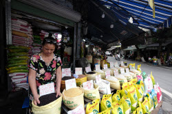 Vietnam to export low-emission rice to Japan