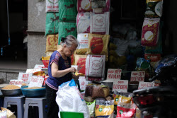 Vietnam to export low-emission rice to Japan
