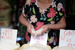 Vietnam to export low-emission rice to Japan