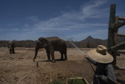 Mexico Violence Animals Refuge