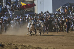 Pakistan Bull Racing Photo Gallery