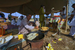Pakistan Bull Racing Photo Gallery