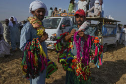 Pakistan Bull Racing Photo Gallery