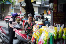 Vietnam to export low-emission rice to Japan