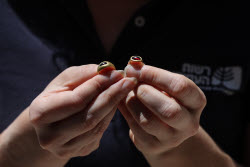 2300-year-old Hellenistic gold ring discovered in Jerusalem