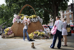 Цветочный фестиваль Chelsea in Bloom на западе Лондона