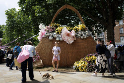 Цветочный фестиваль Chelsea in Bloom на западе Лондона