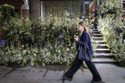 Цветочный фестиваль Chelsea in Bloom на западе Лондона