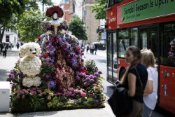 Цветочный фестиваль Chelsea in Bloom на западе Лондона