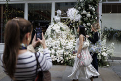 Цветочный фестиваль Chelsea in Bloom на западе Лондона