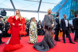 78eme Festival International Du Film De Cannes. MontÃƒÂ©E Des Marches Du Film The History Of Sound. CARLIER