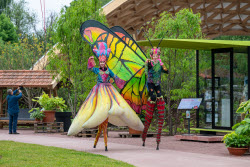 Opening of the State Garden Show 2025