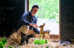 Lots of work at Wildtierhilfe Lüneburger Heide