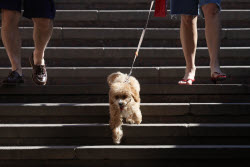Daily life in Moscow