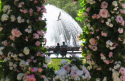 Spring in Moscow