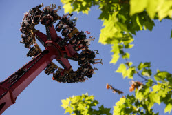 Sochi Park amusement park