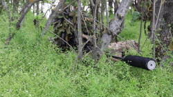 VIDEO. Sniper training in Zaporozhye Region, Russia