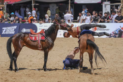 7th Ethnosport Culture Festival in Istanbul
