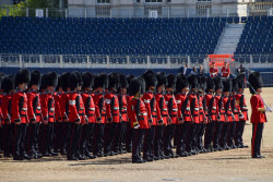 Trooping The Colour Preparations