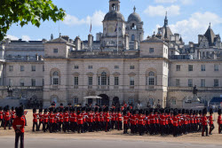 Trooping The Colour Preparations