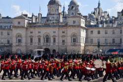 Trooping The Colour Preparations