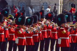Trooping The Colour Preparations
